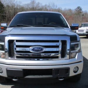 2013 Ford F-150 Platinum for sale