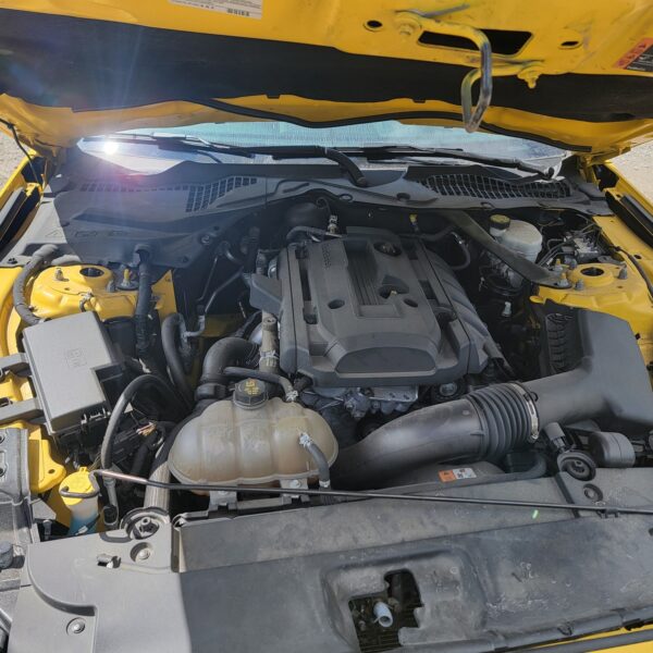 2016 Mustang EcoBoost Salvage - Image 3